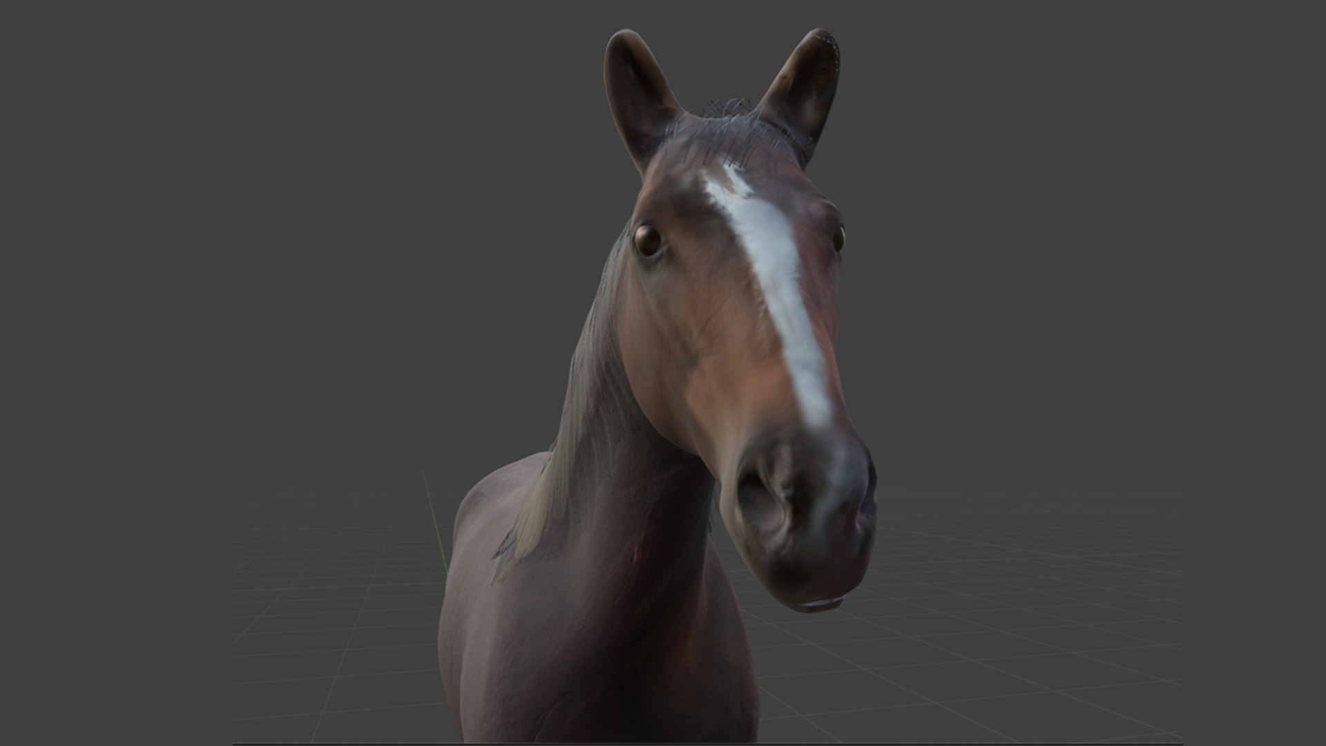 Realistic Rigged and Animated 3D Horse Model Low-poly 3D model_12