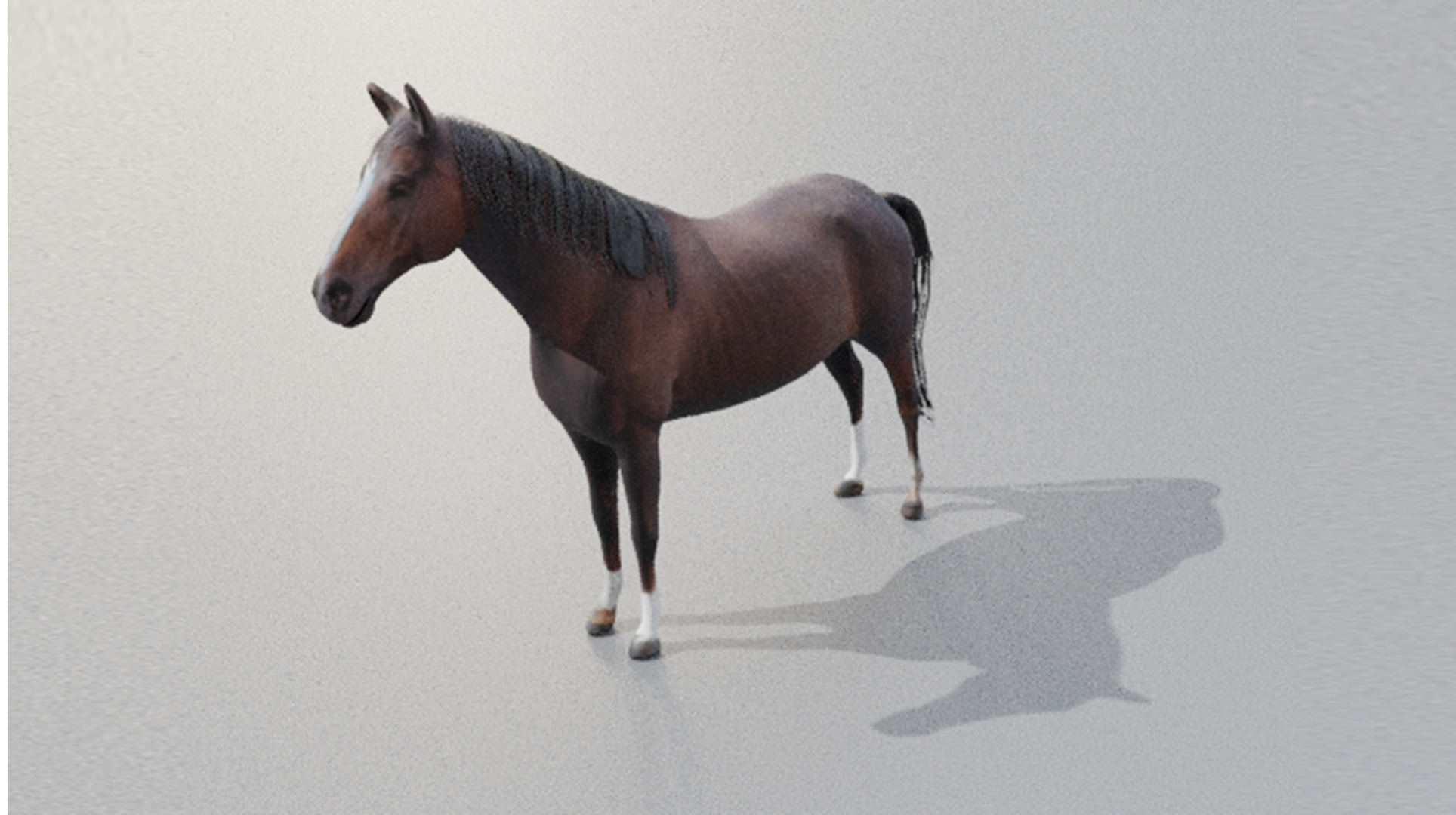 Realistic Rigged and Animated 3D Horse Model Low-poly 3D model_8