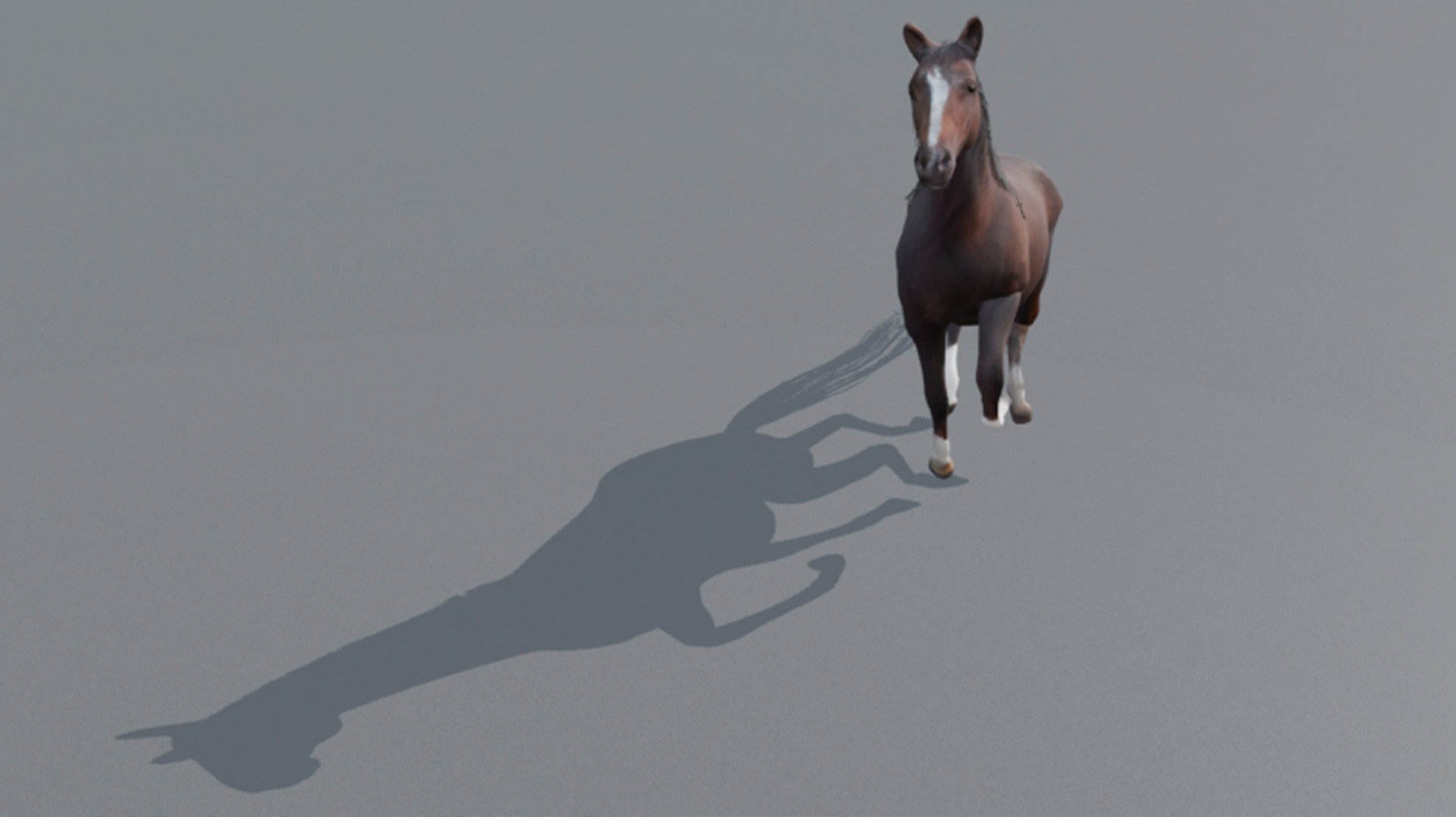 Realistic Rigged and Animated 3D Horse Model Low-poly 3D model_4