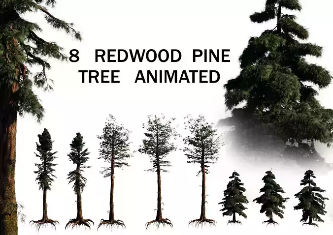 8 redwood pine tree pack