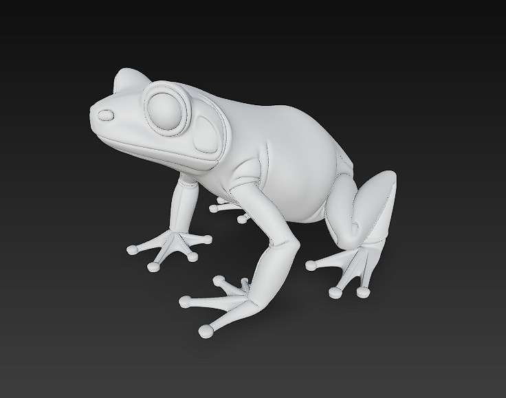 Frog  Poisonous Realistic 3D Model Basic - Low Poly Realistic Low-poly 3D model_14