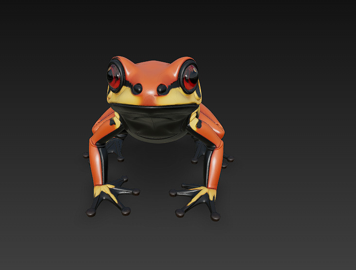 Frog  Poisonous Realistic 3D Model Basic - Low Poly Realistic Low-poly 3D model_1