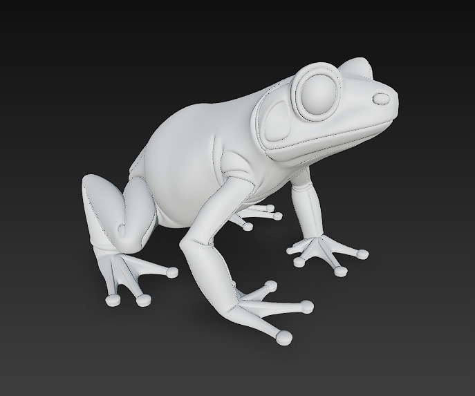 Frog  Poisonous Realistic 3D Model Basic - Low Poly Realistic Low-poly 3D model_12