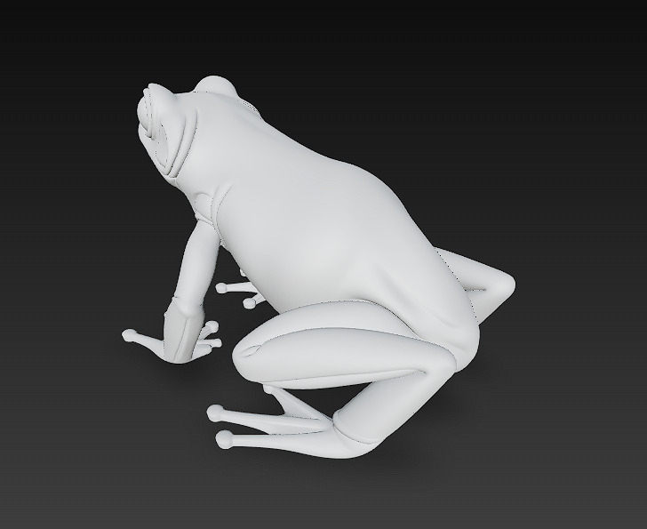 Frog  Poisonous Realistic 3D Model Basic - Low Poly Realistic Low-poly 3D model_15