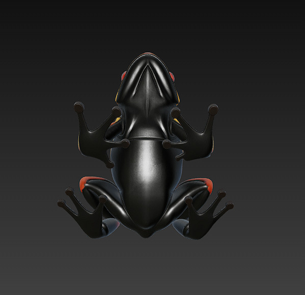 Frog  Poisonous Realistic 3D Model Basic - Low Poly Realistic Low-poly 3D model_10
