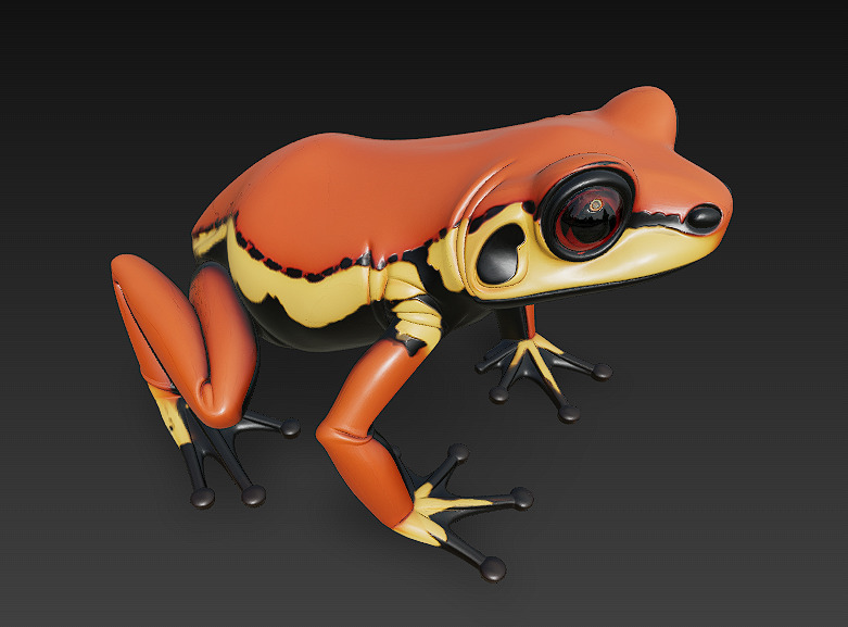 Frog  Poisonous Realistic 3D Model Basic - Low Poly Realistic Low-poly 3D model_8