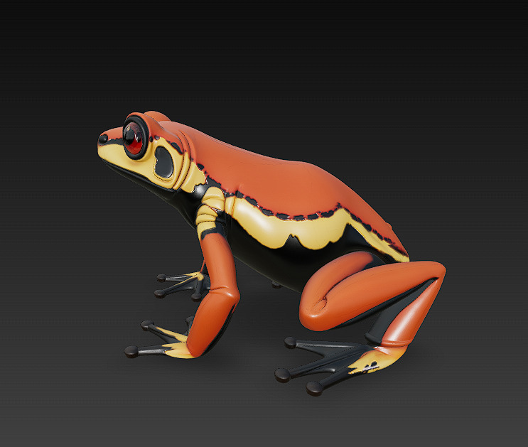 Frog  Poisonous Realistic 3D Model Basic - Low Poly Realistic Low-poly 3D model_2