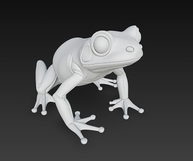 Frog  Poisonous Realistic 3D Model Basic - Low Poly Realistic Low-poly 3D model_18