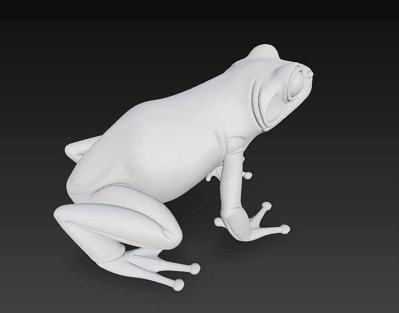 Frog  Poisonous Realistic 3D Model Basic - Low Poly Realistic Low-poly 3D model_17