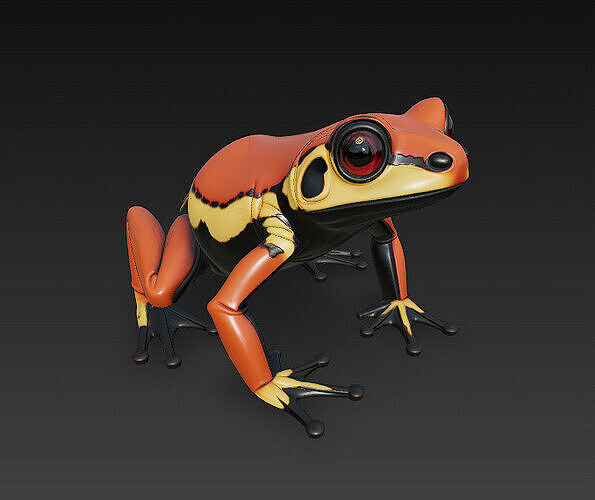 Frog  Poisonous Realistic 3D Model Basic - Low Poly Realistic Low-poly 3D model