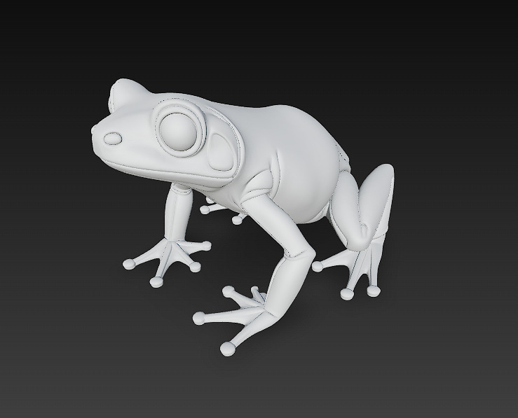Frog  Poisonous Realistic 3D Model Basic - Low Poly Realistic Low-poly 3D model_20