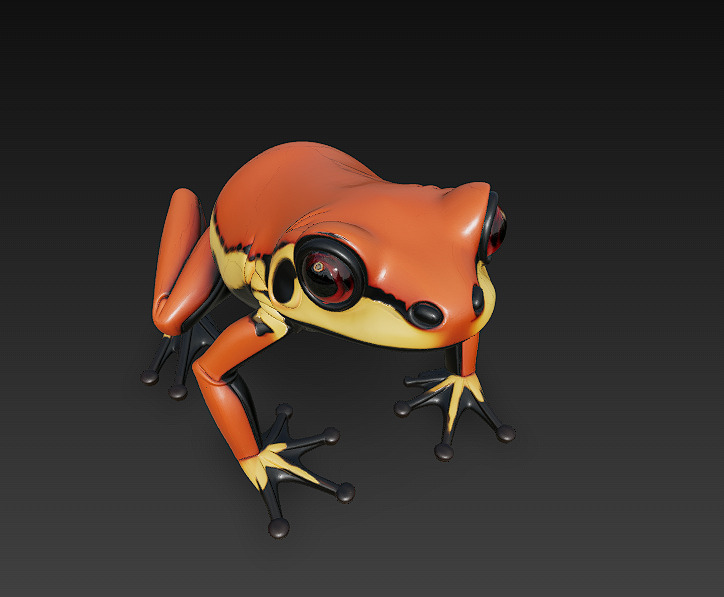 Frog  Poisonous Realistic 3D Model Basic - Low Poly Realistic Low-poly 3D model_11
