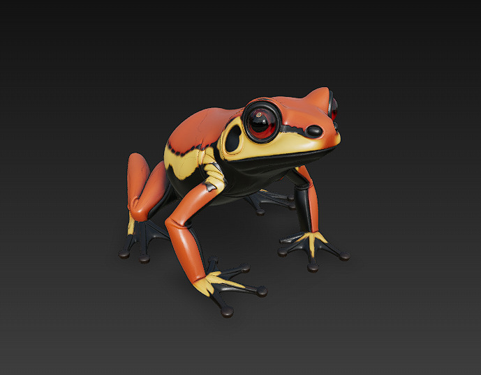 Frog  Poisonous Realistic 3D Model Basic - Low Poly Realistic Low-poly 3D model_6