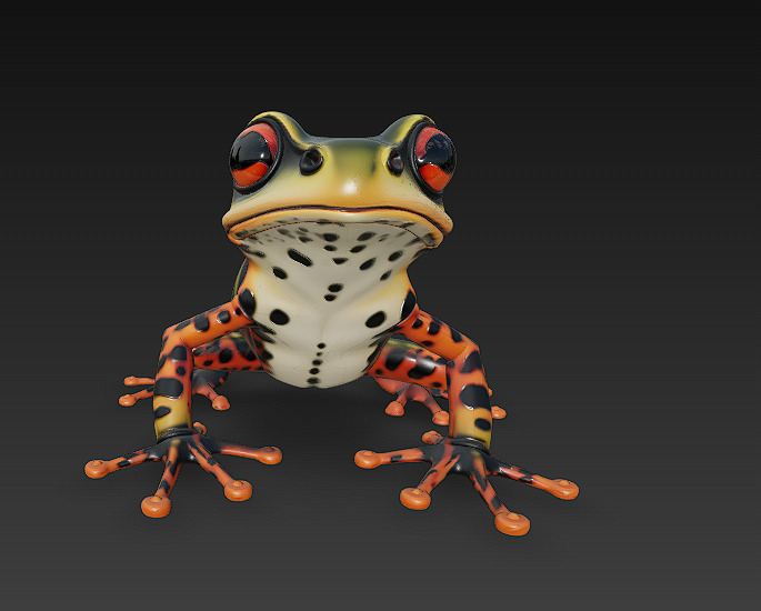 Frog Poisonous Realistic 3D Model Basic - Low Poly Realistic Low-poly 3D model_1