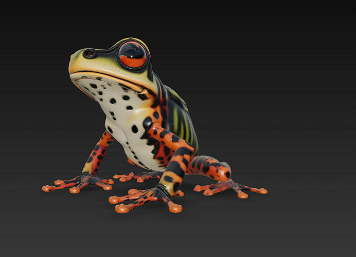 Frog Poisonous Realistic 3D Model Basic - Low Poly Realistic Low-poly 3D model_9