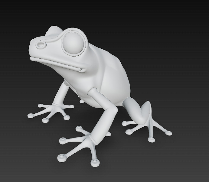 Frog Poisonous Realistic 3D Model Basic - Low Poly Realistic Low-poly 3D model_13