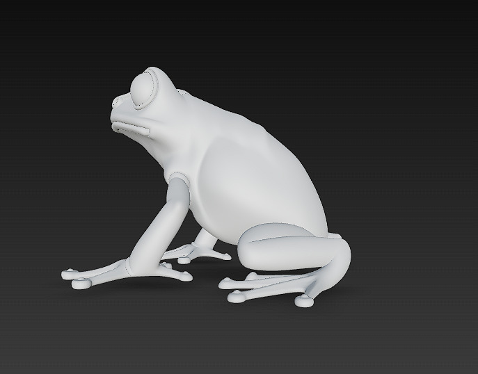 Frog Poisonous Realistic 3D Model Basic - Low Poly Realistic Low-poly 3D model_14