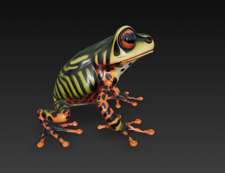 Frog Poisonous Realistic 3D Model Basic - Low Poly Realistic Low-poly 3D model_2