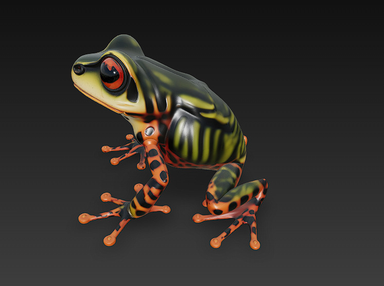 Frog Poisonous Realistic 3D Model Basic - Low Poly Realistic Low-poly 3D model_3