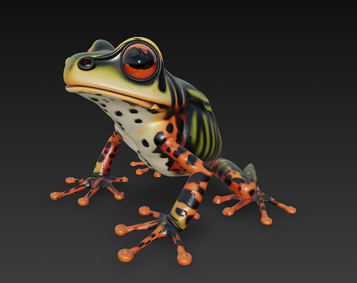Frog Poisonous Realistic 3D Model Basic - Low Poly Realistic Low-poly 3D model_4