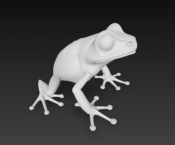 Frog Poisonous Realistic 3D Model Basic - Low Poly Realistic Low-poly 3D model_17