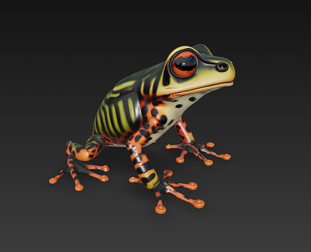 Frog Poisonous Realistic 3D Model Basic - Low Poly Realistic Low-poly 3D model_6
