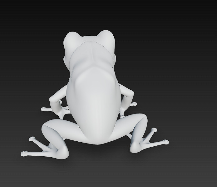 Frog Poisonous Realistic 3D Model Basic - Low Poly Realistic Low-poly 3D model_15