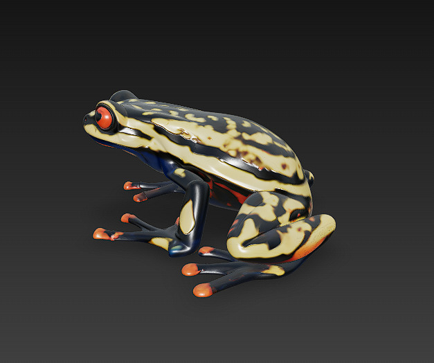 Frog Poisonous Realistic 3D Model Basic - Low Poly Realistic Low-poly 3D model_7