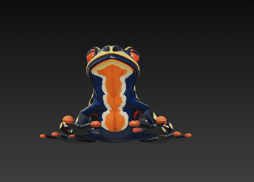 Frog Poisonous Realistic 3D Model Basic - Low Poly Realistic Low-poly 3D model_8
