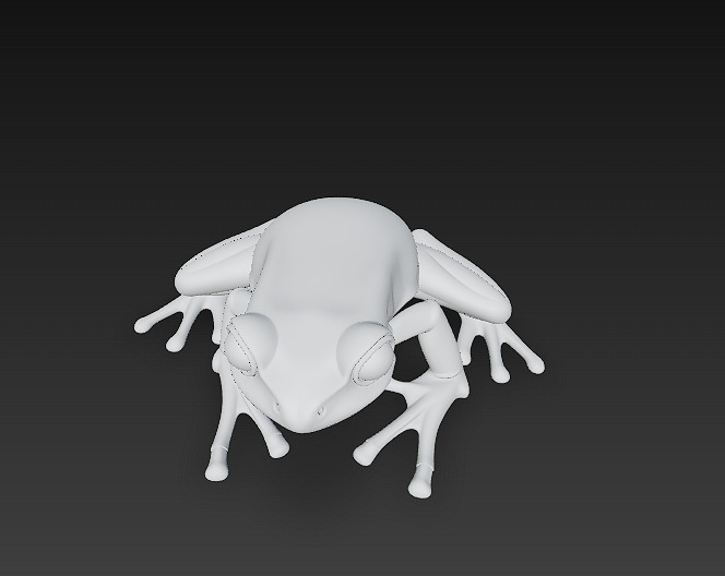 Frog Poisonous Realistic 3D Model Basic - Low Poly Realistic Low-poly 3D model_14