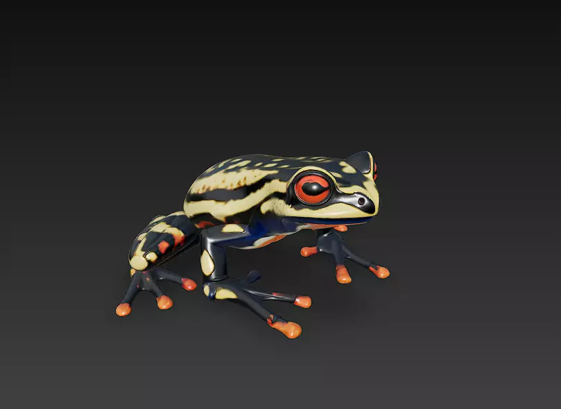 Frog Poisonous Realistic 3D Model Basic - Low Poly Realistic Low-poly 3D model_0