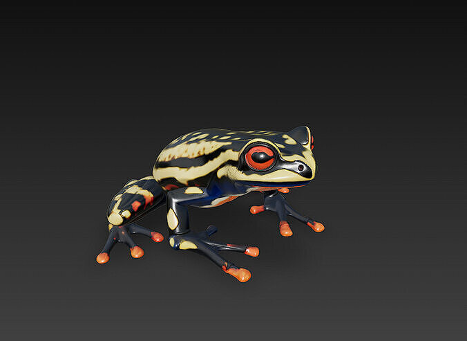 Frog Poisonous Realistic 3D Model Basic - Low Poly Realistic Low-poly 3D model