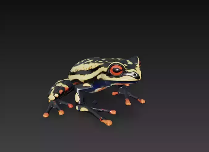 Frog Poisonous Realistic 3D Model Basic - Low Poly Realistic Low-poly 3D model