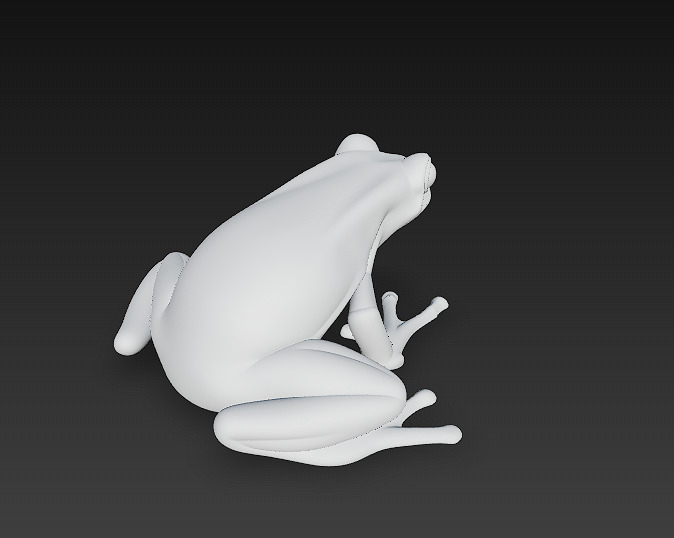 Frog Poisonous Realistic 3D Model Basic - Low Poly Realistic Low-poly 3D model_11