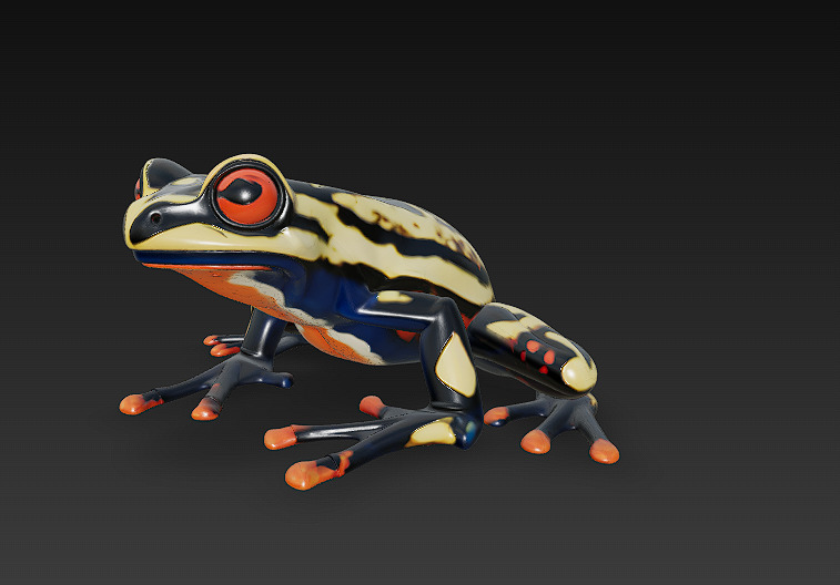 Frog Poisonous Realistic 3D Model Basic - Low Poly Realistic Low-poly 3D model_2