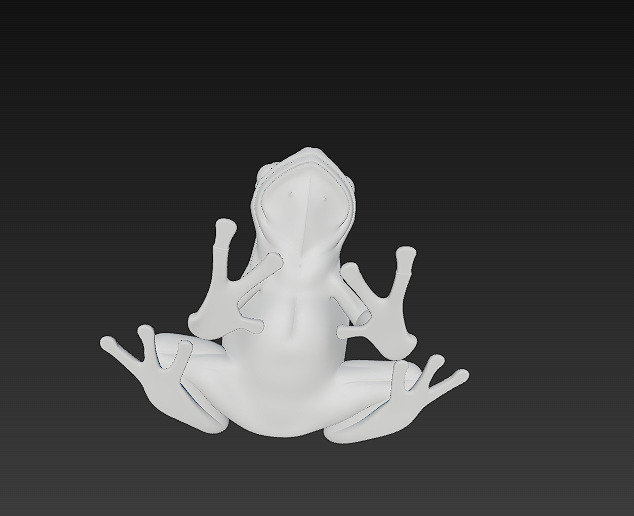 Frog Poisonous Realistic 3D Model Basic - Low Poly Realistic Low-poly 3D model_17