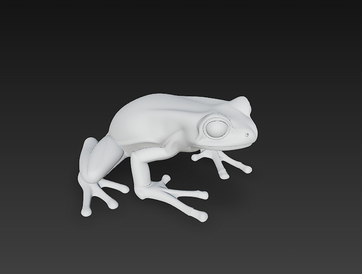 Frog Poisonous Realistic 3D Model Basic - Low Poly Realistic Low-poly 3D model_10