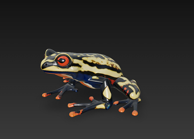 Frog Poisonous Realistic 3D Model Basic - Low Poly Realistic Low-poly 3D model_6