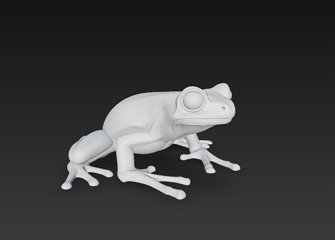 Frog Poisonous Realistic 3D Model Basic - Low Poly Realistic Low-poly 3D model_16