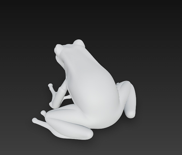 Frog Poisonous Realistic 3D Model Basic - Low Poly Realistic Low-poly 3D model_12