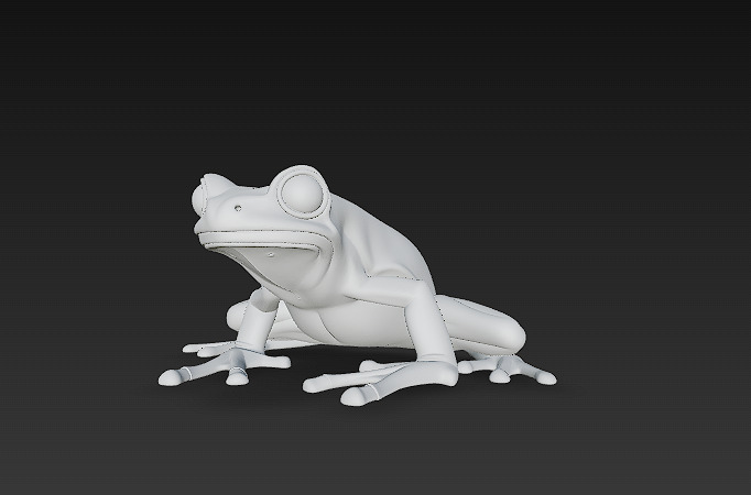 Frog Poisonous Realistic 3D Model Basic - Low Poly Realistic Low-poly 3D model_15