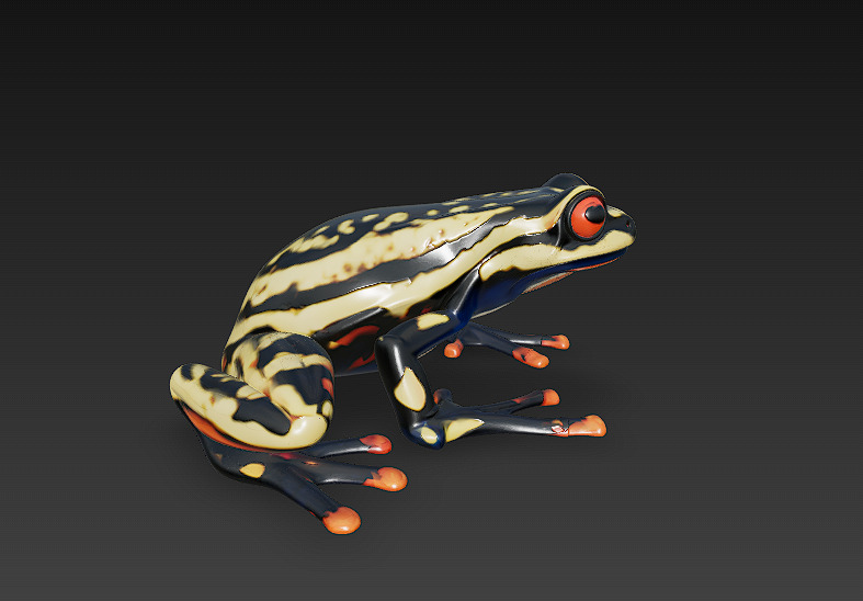 Frog Poisonous Realistic 3D Model Basic - Low Poly Realistic Low-poly 3D model_3