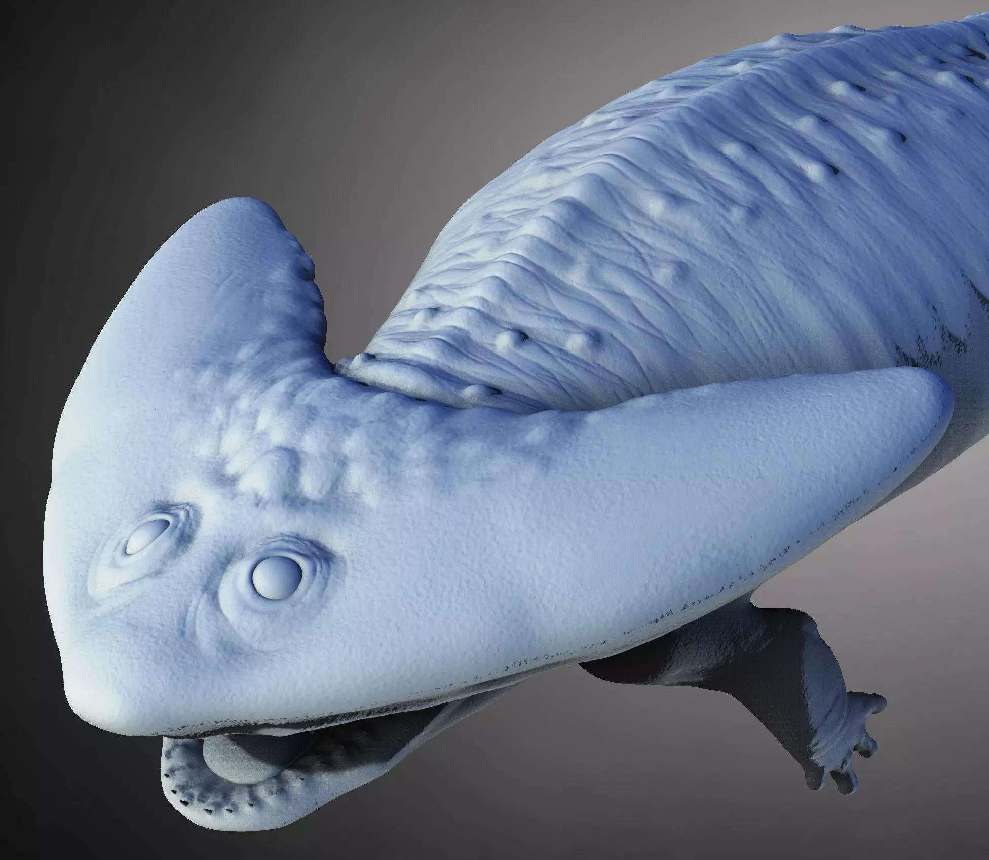 Diplocaulus The Boomerang-Headed Amphibian 3D print model
