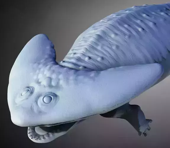 Diplocaulus The Boomerang-Headed Amphibian 3D print model