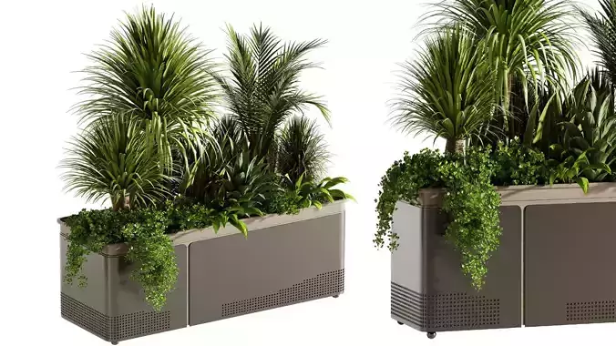 Indoor plants-Plants in Box- set176