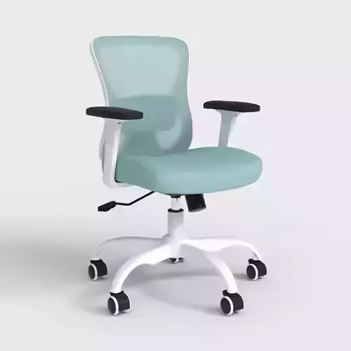ERGONOMIC OFFICE CHAIR