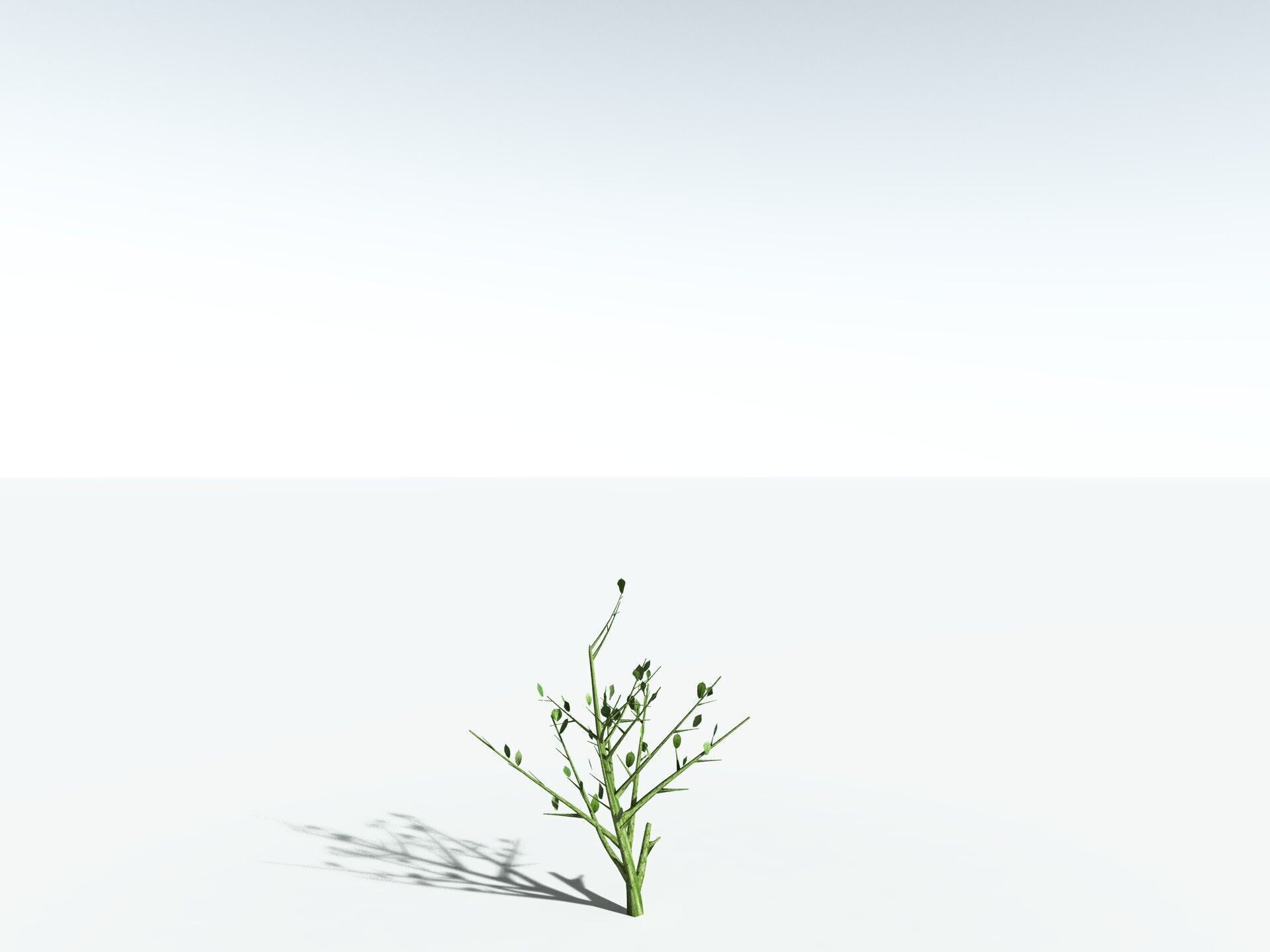 EVERYPlant Japanese Cherry 3D model_37