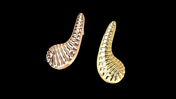 Modern Elegant Earrings 3D print model