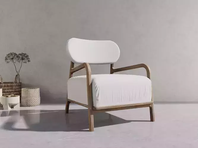 lounge chair for interior modern concept