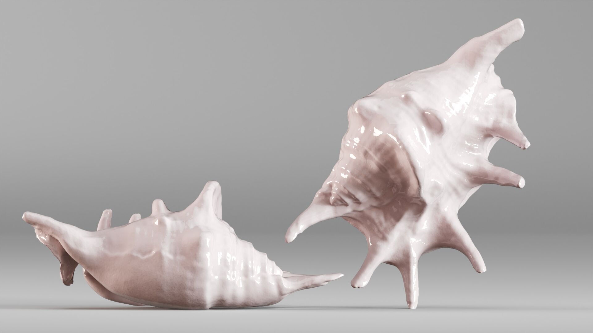 001635 Seashell Detailed Scan Model for Art and Decor 3D print model_2